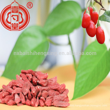 Health fruit ningxia zhongning low pesticide dried goji berry with much Vitamin C